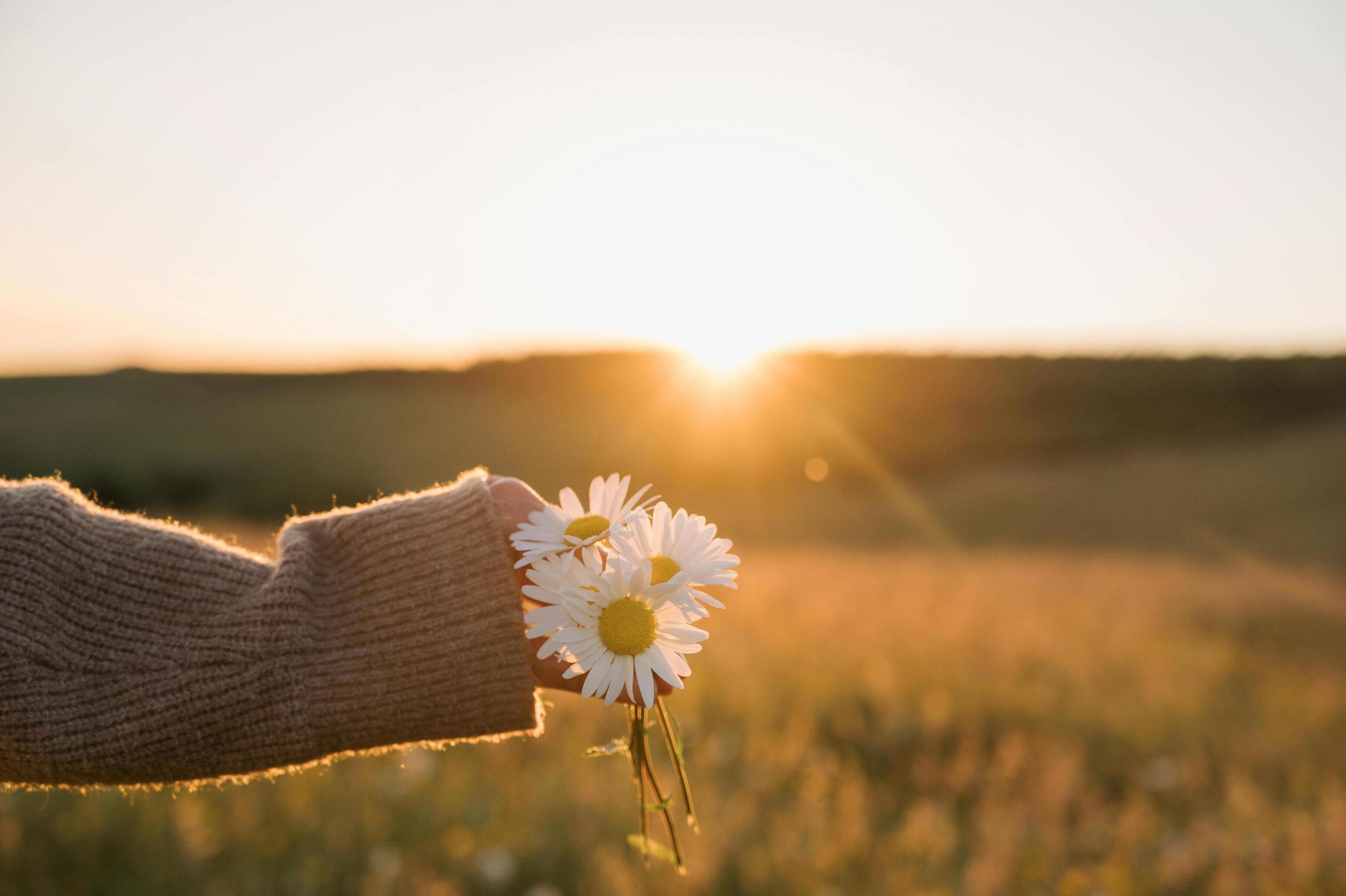 Holistic lymphatic therapy